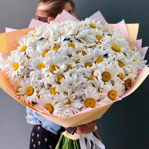 Ромашки полевые одноголовые фото 2