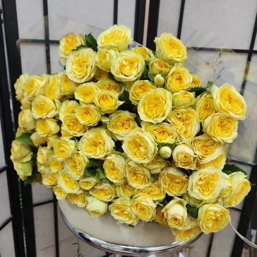 Роза пионовидная кустовая