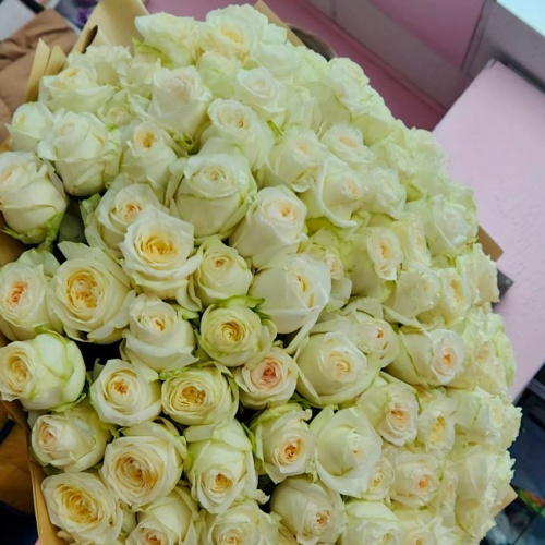 Розы Эквадор Премиум фото 3