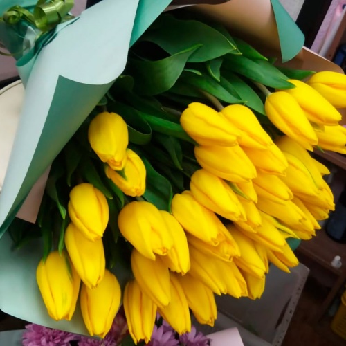 Тюльпаны Микс фото 3