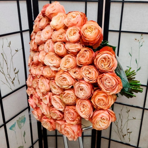 Розы Эквадор Премиум фото 7