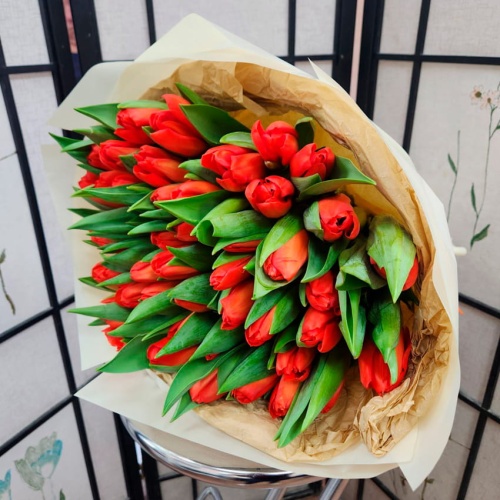 Тюльпаны Красные Тюльпаны Красные