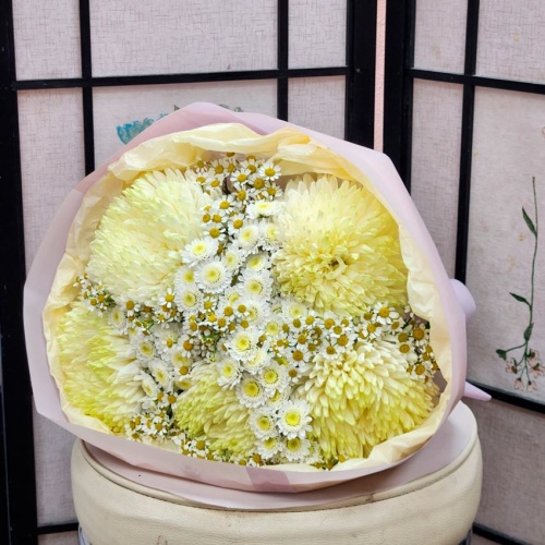 Ромашки Танацетум фото 3