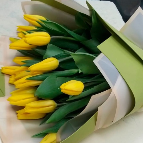 Тюльпаны Микс фото 3