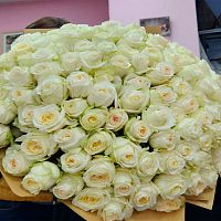 Розы Эквадор Премиум