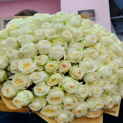 Розы Эквадор Премиум