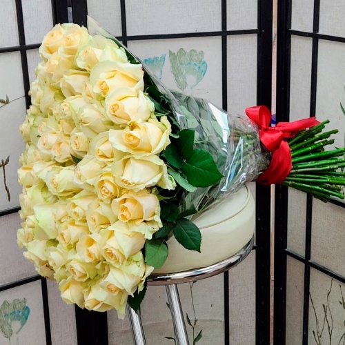 Розы Эквадор Аваланж фото 2