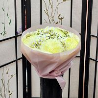 Ромашки Танацетум