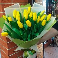 Тюльпаны Микс