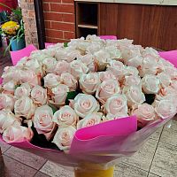 Роза Эквадор Премиум