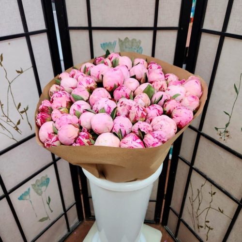 Пионы розовые Голландия фото 5