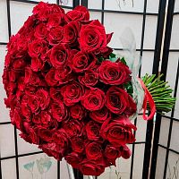 Розы Эквадор Эксплорер