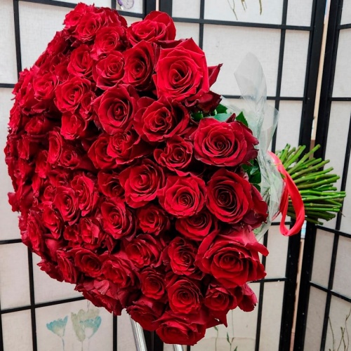 Розы Эквадор Эксплорер