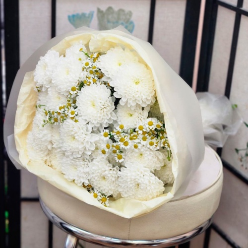 Ромашки Танацетум фото 2