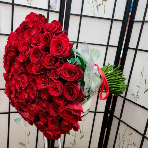 Розы Эквадор Эксплорер фото 2