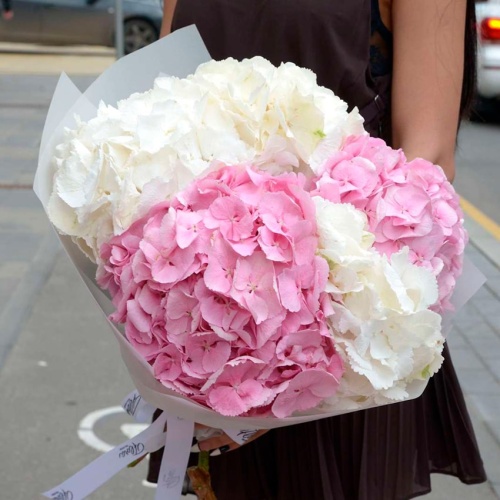 Букет из Гортензий фото 2
