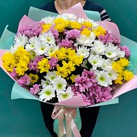 Хризантемы Микс