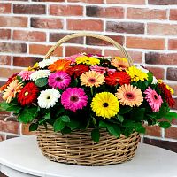Корзина с Герберами