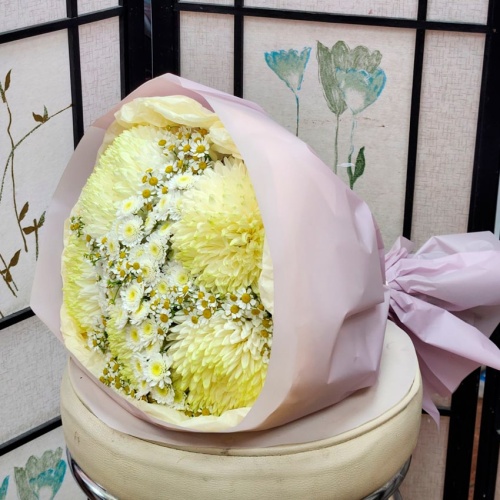 Ромашки Танацетум фото 2