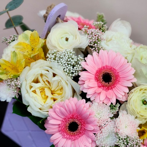 Цветы в ящиках Микс фото 4