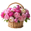 Корзины с цветами