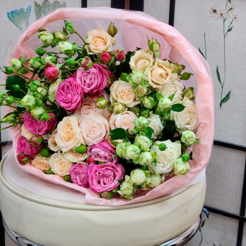 Роза Эквадор Кустовая Микс фото 3