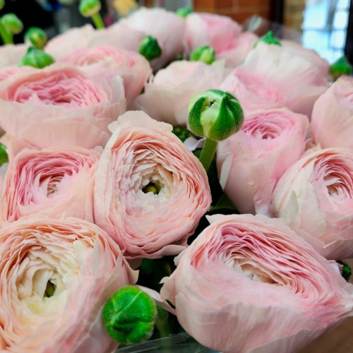 Корзина с Ранункулюсами фото 3