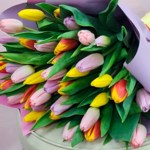 Тюльпаны Микс фото 3
