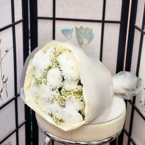 Ромашки Танацетум фото 3