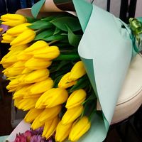 Тюльпаны Микс