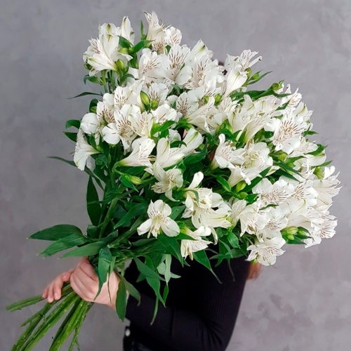 Букет из Альстромерии фото 3