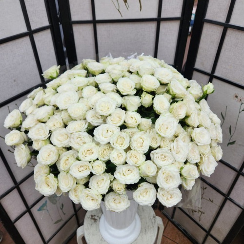 Роза пионовидная кустовая фото 4