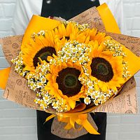 Подсолнухи и Танацетум