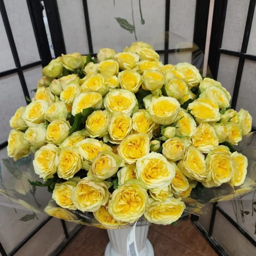 Роза пионовидная кустовая фото 2