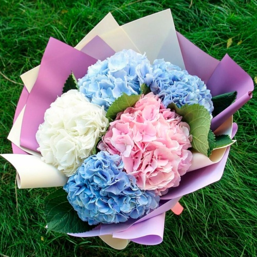 Букет из Гортензий фото 2