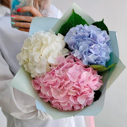 Букет из Гортензий фото 3