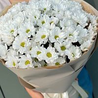 Монобукет из Хризантем