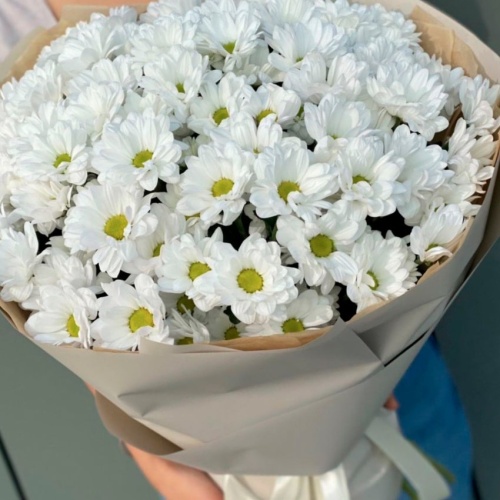 Монобукет из Хризантем