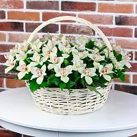 Корзина с Орхидеями