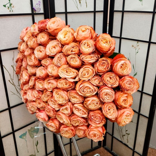 Розы Эквадор Премиум фото 6