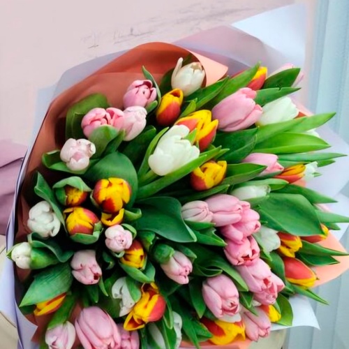 Тюльпаны Микс фото 2