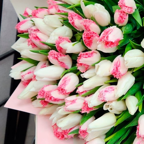 Пионовидные тюльпаны фото 3