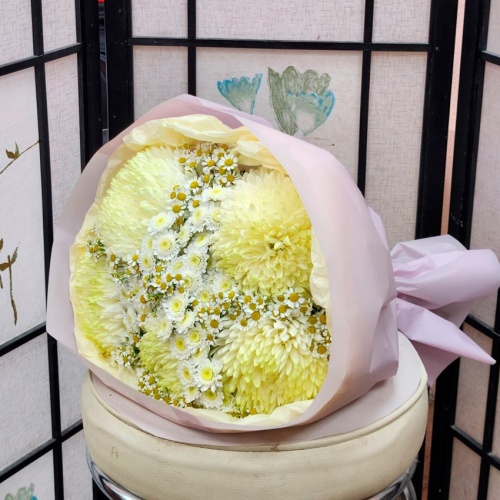 Ромашки Танацетум фото 4