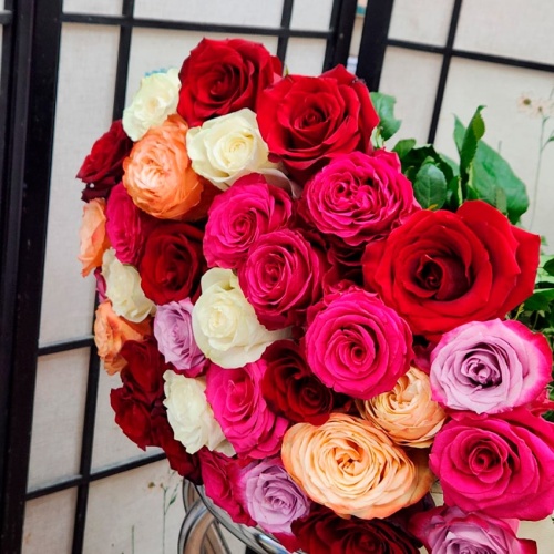 Розы Эквадор Премиум фото 3