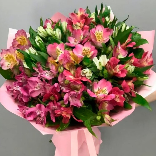 Альстромерии Микс