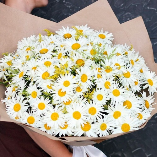 Ромашки полевые одноголовые фото 3