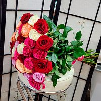 Розы Эквадор Премиум