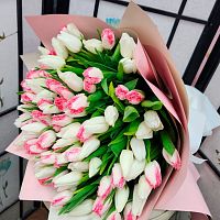 Пионовидные тюльпаны