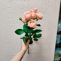 Роза пионовидная кустовая