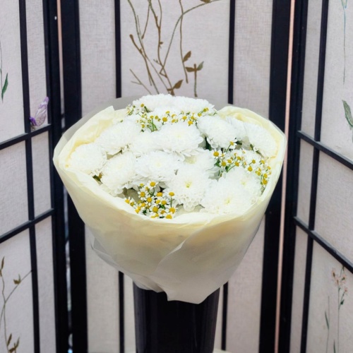 Ромашки Танацетум фото 4